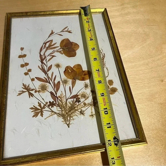 Vintage Framed Pressed Dried Flowers Boho Style Made W. Germany 9”x12” - Picture 7 of 7